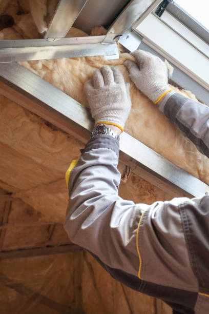 Best Blown-in Insulation in Rolling Meadows, IL